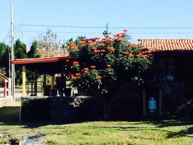 Cabanas Los Pocitos Hostal Celaya  Exterior foto